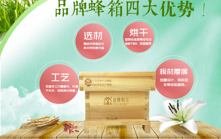 益精小交尾箱 交蜜蜂育王箱 招蜂引蜂誘蜂箱 中蜂蜂王交尾箱