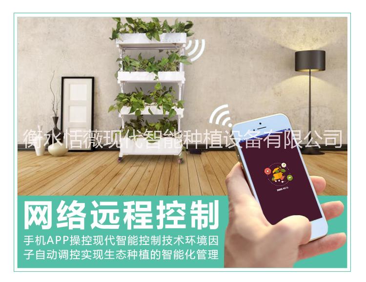 科研教育器材現(xiàn)代智能種植機(jī) 新時(shí)代科研教育器材現(xiàn)代智能種植機(jī) 新時(shí)代全智能種植機(jī)空氣凈化器健康