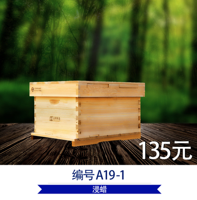 益精牌蜂箱 交尾箱 51x41養(yǎng)蜂工具無縫優(yōu)質(zhì)杉木蜂箱中蜂箱益蜂
