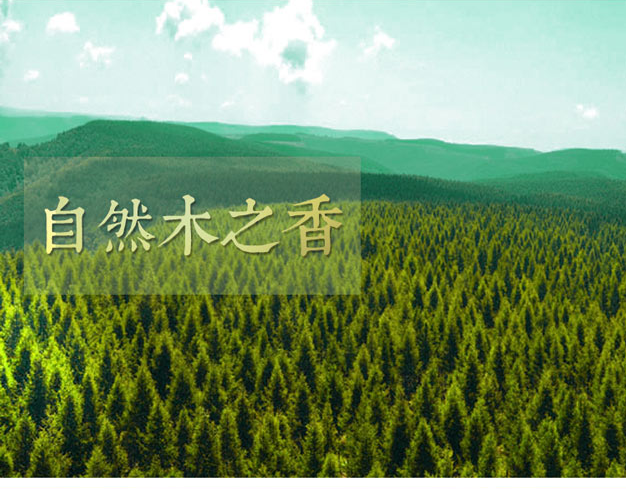 益精繼箱 中蜂 意蜂標(biāo)準(zhǔn)繼箱25cm 全杉木 可浸蠟 廠家直銷(xiāo) 中蜂意蜂標(biāo)準(zhǔn)繼箱