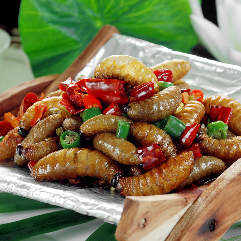 竹蛹新鮮活竹筍蟲 *竹蛆筍蛆速凍竹蟲筍子蟲2斤包郵廣寧特產(chǎn)廠家直銷