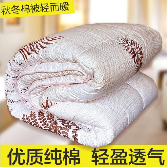 廠家直銷天然純棉羽絲棉被二合一 雙胎子母被春秋冬四季 純棉羽絲棉被oo