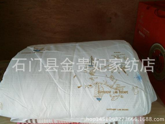 新款舒柔輕爽空調(diào)被 珠光漿磨毛夏涼空調(diào)被 夏涼被一件代發(fā)