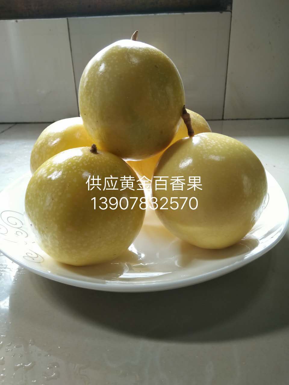 廣西百香果價(jià)格，廣西百香果報(bào)價(jià)，廣西百香果供應(yīng)商