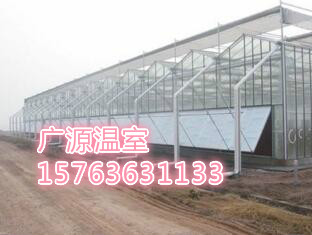 大棚溫室-溫室大棚-蔬菜大棚-花卉大棚