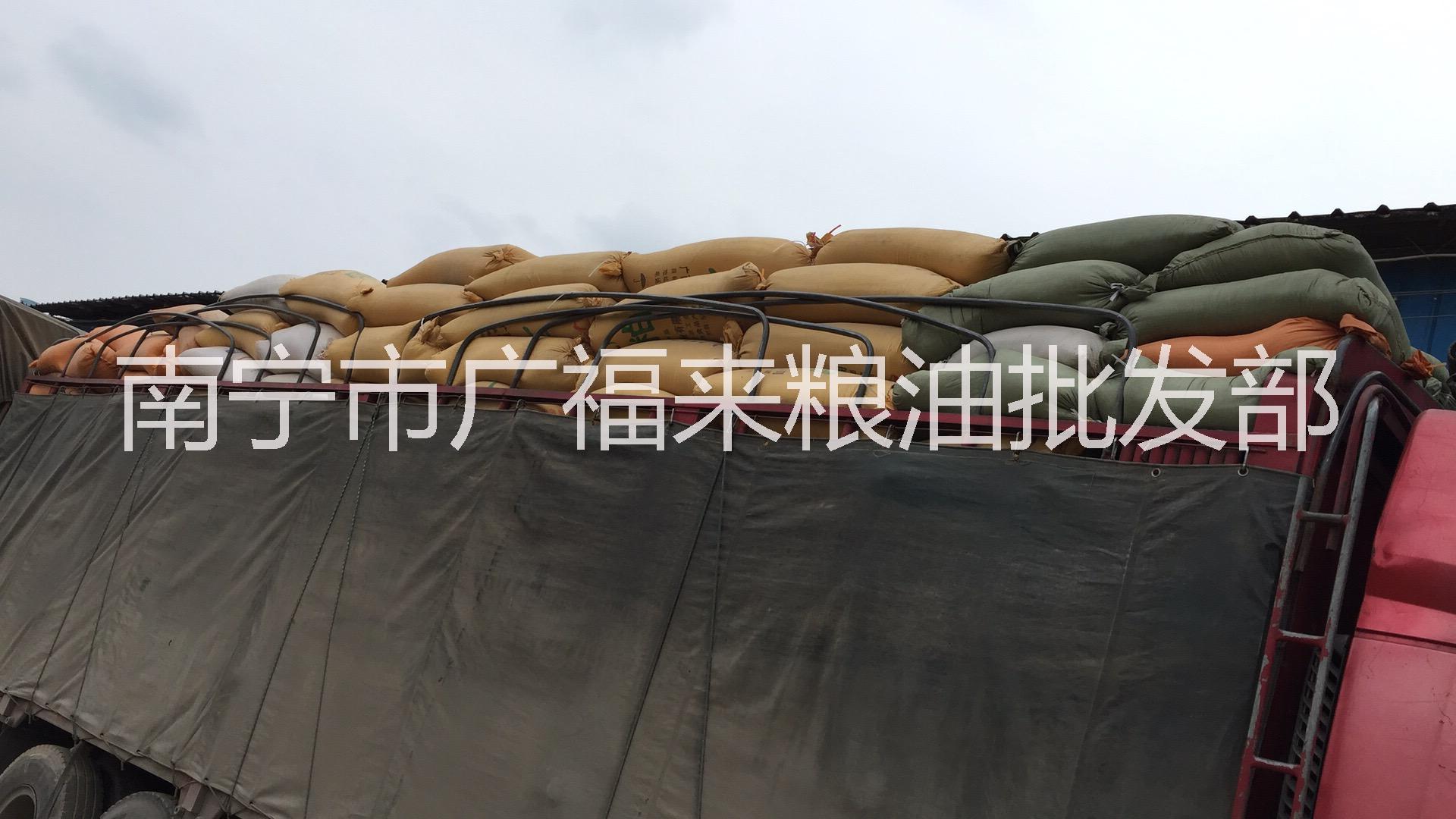 廣西飼料玉米粉批發(fā)-玉林飼料玉米粉價格-云南飼料玉米粉廠家