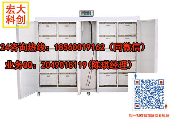 全自動箱式豆芽機自動豆芽機價格廣東全自動豆芽機多功能豆芽機廠家自動豆芽機報價