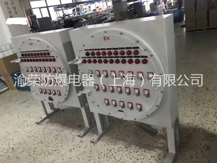 遼寧專業(yè)IIC級防爆配電箱渝榮防爆定做