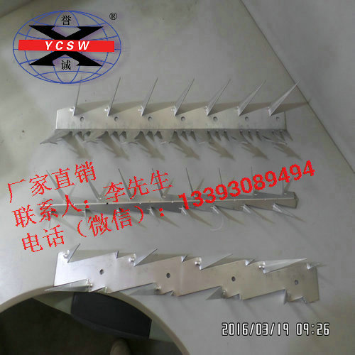 鍍鋅刺釘丨鍍鋅防爬刺釘