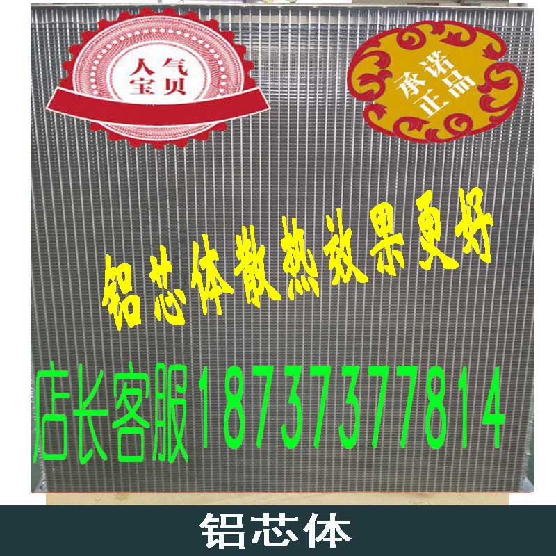 龍工水箱廠家直銷 龍工855水箱 龍工50水箱 龍工水箱哪家好 裝載機(jī)水箱廠家直銷