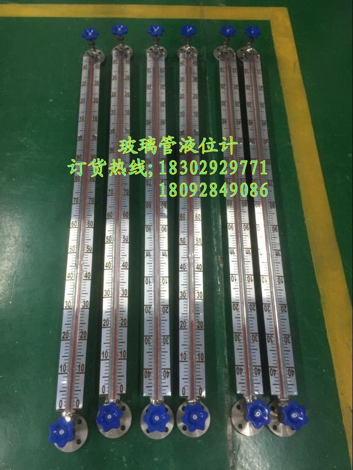 新疆防腐型304襯PTFE液位計(jì)