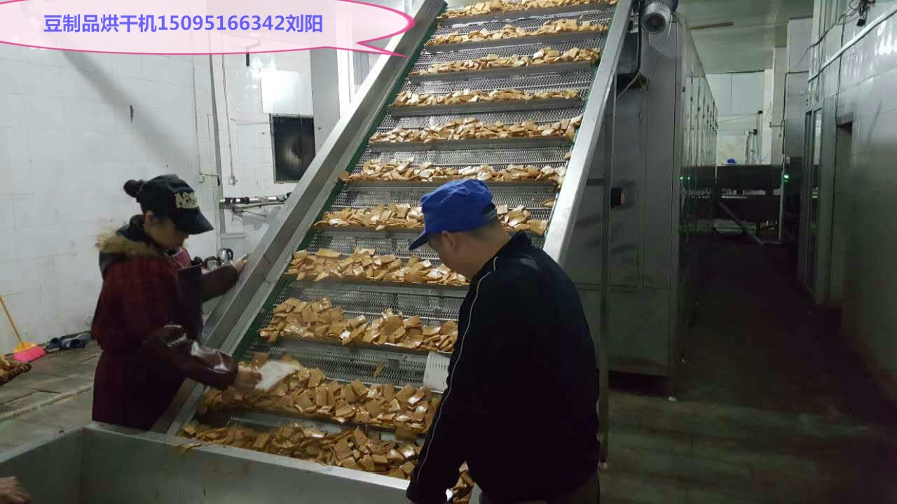 網(wǎng)帶式烘干機,去水干燥機,脫水蔬菜加工設備