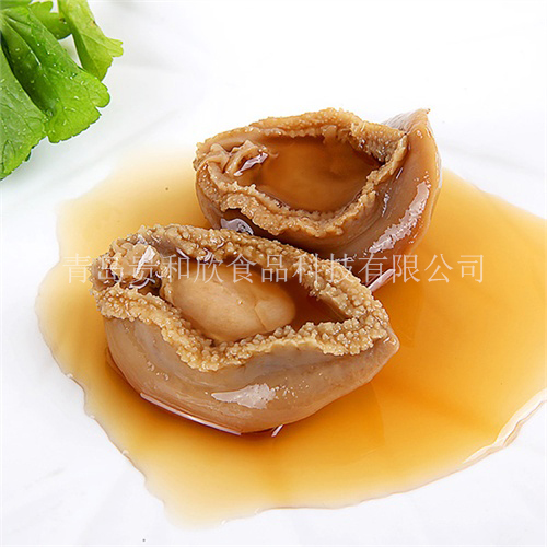 耐高溫去腥粉 去肉腥味 豆腥味 魚腥味 蛋腥味等調(diào)料 青島貴和欣食品科技有限公司