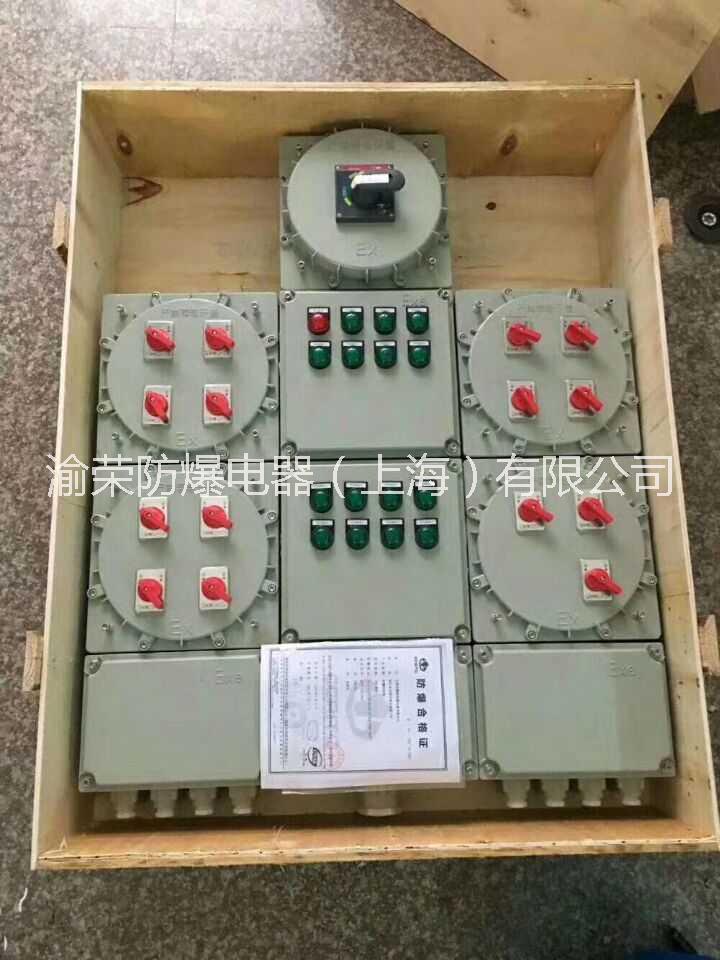 遼寧專業(yè)IIC級防爆配電箱渝榮防爆定做