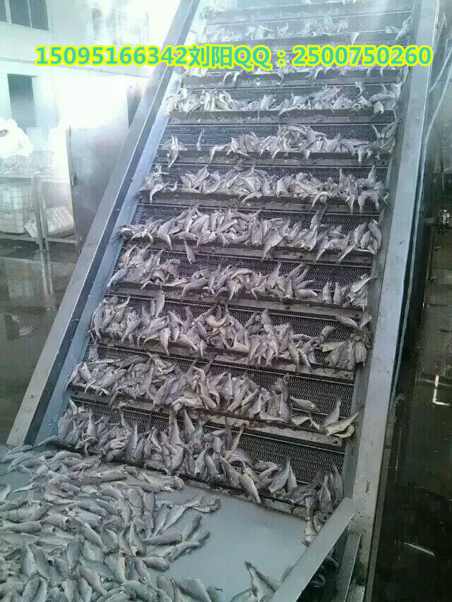 果蔬清洗機(jī)，酸菜清洗機(jī),白菜清洗機(jī)