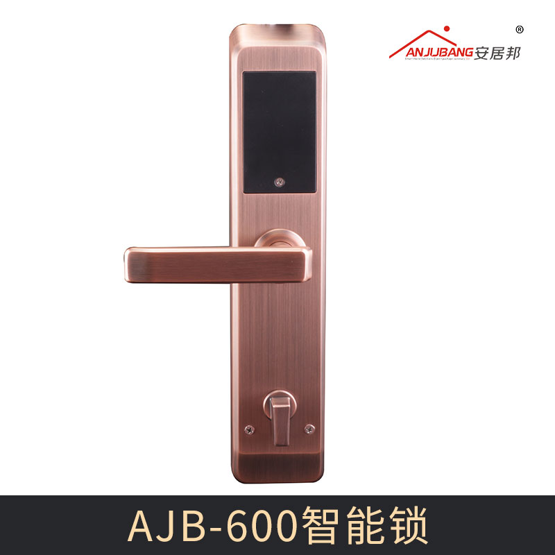 廠家直銷AJB-600智能鎖 指紋鎖密碼 智能鎖 IC卡防盜門電子家用門鎖