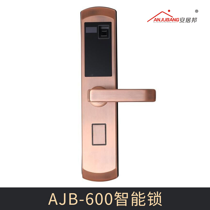 廠家直銷AJB-600智能鎖 指紋鎖密碼 智能鎖 IC卡防盜門電子家用門鎖