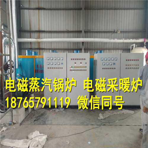 山東電磁導(dǎo)熱油爐 主要用于工業(yè) 按需定做