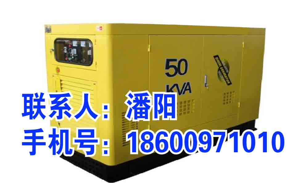 南開區(qū)發(fā)電機(jī)出租 發(fā)電機(jī)租賃