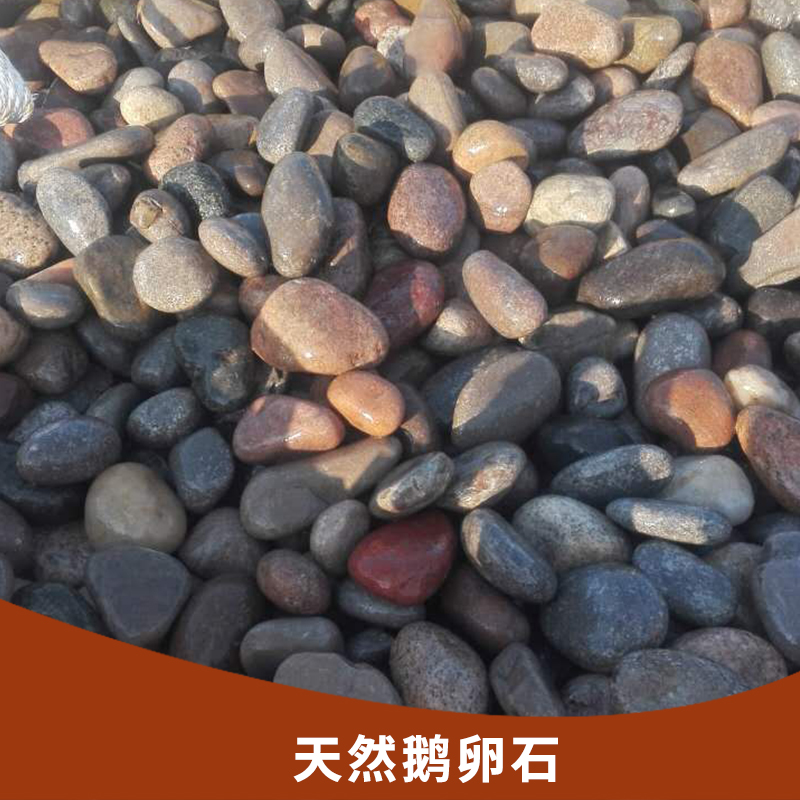 廠家直銷(xiāo) 天然鵝卵石 雨花石魚(yú)缸石五彩石園林景觀鋪路工程石頭