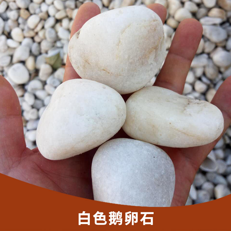 白色鵝卵石 園藝用白色小石頭園林鋪路造景用白石子 地坪用石米
