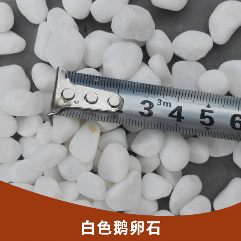 白色鵝卵石 園藝用白色小石頭園林鋪路造景用白石子 地坪用石米