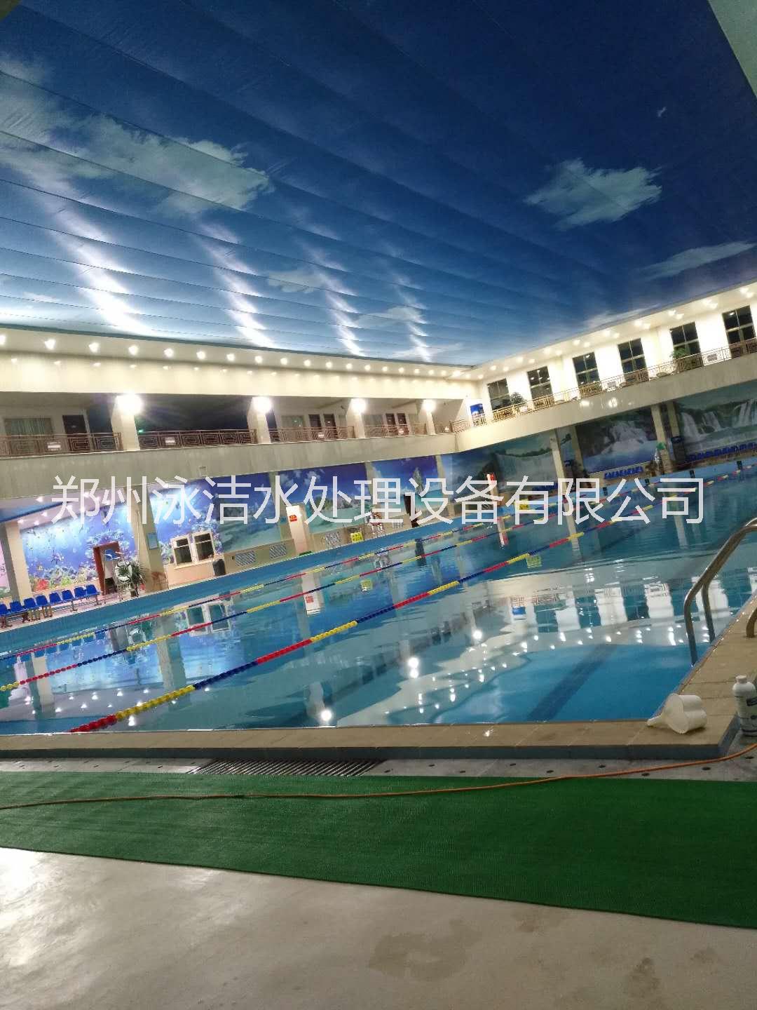 游泳池水過濾器 游泳池水處理設(shè)備 室內(nèi)泳池水處理設(shè)備