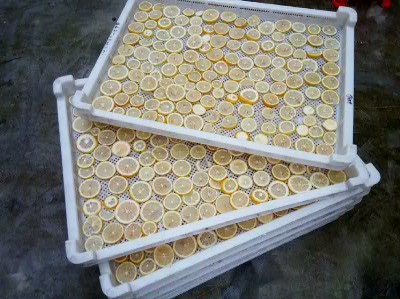 污泥烘干機廠家其他_清遠(yuǎn)污泥烘干機廠家* 烘干機系列供應(yīng)商定制報價 污泥烘干機設(shè)備脫水烘干廠家其他