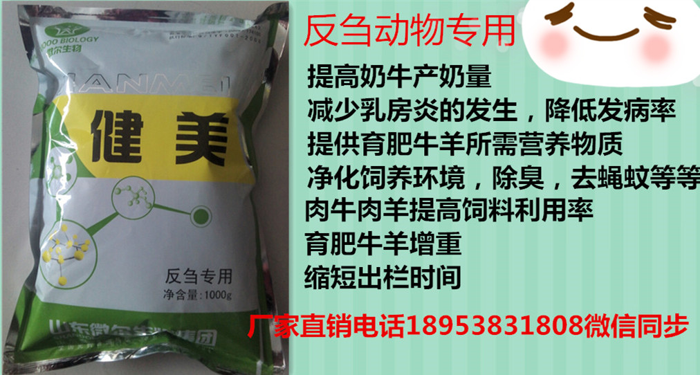 牛消化不好牛倒嚼慢怎么回事 健美反芻