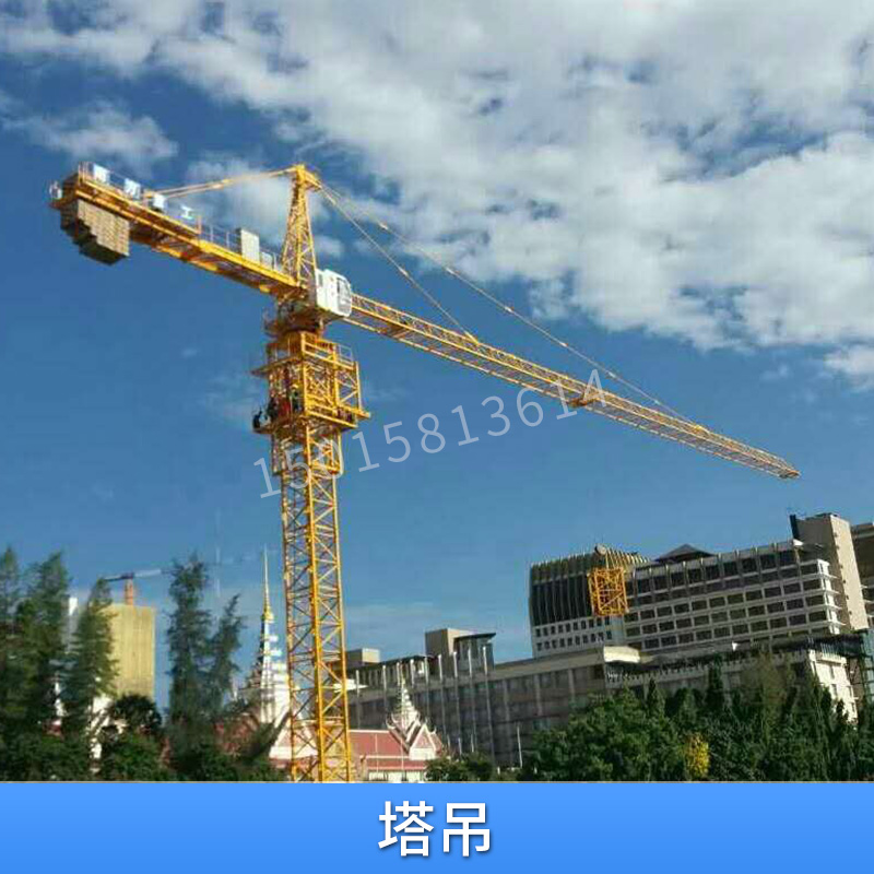 供應(yīng)塔吊 輕型重型塔吊起重設(shè)備 多種規(guī)格塔式起重機(jī) 歡迎致電咨詢