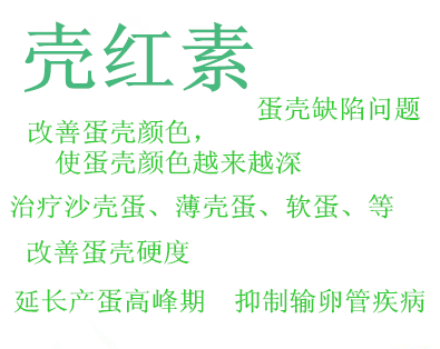 影響蛋殼質量的因素有哪些