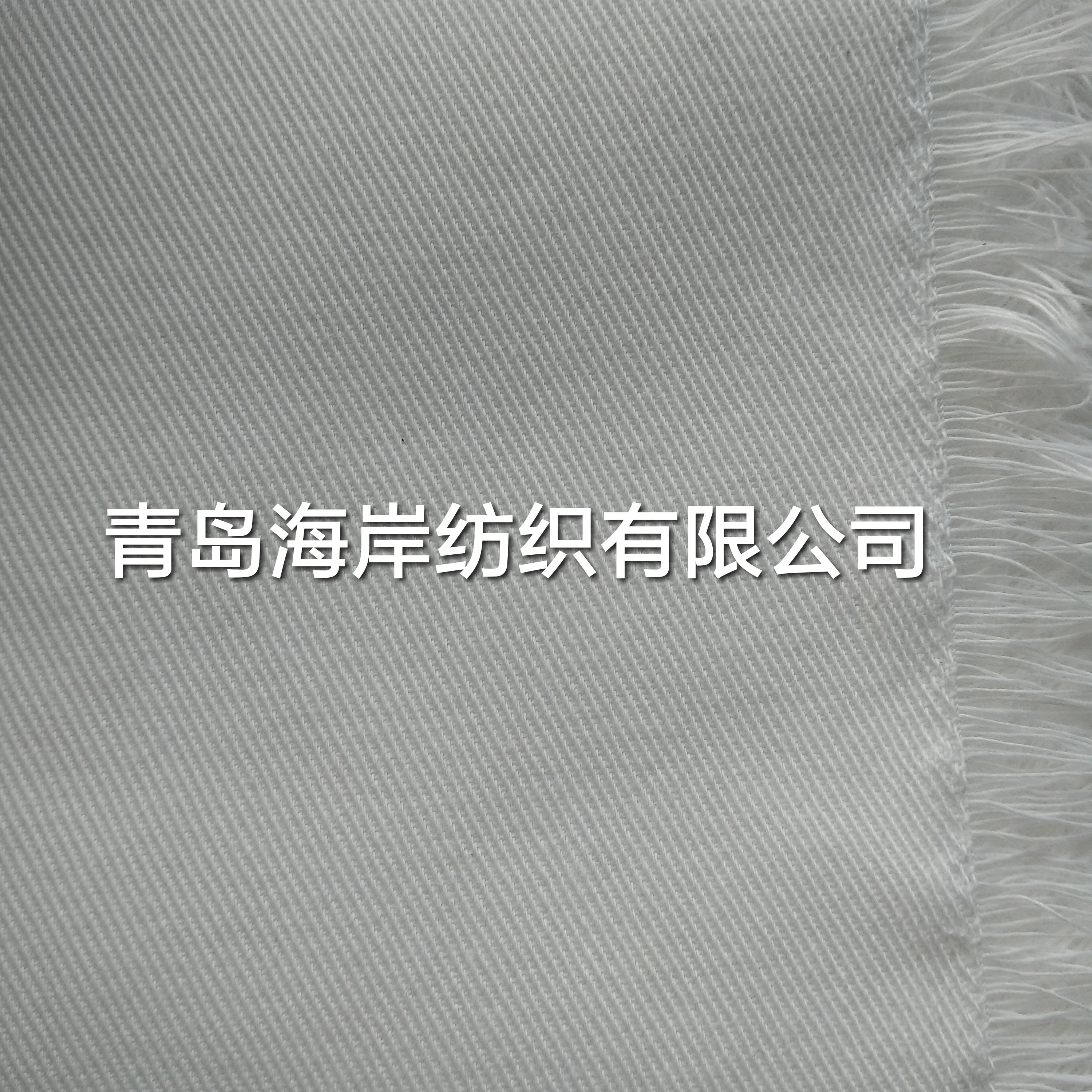 滌棉紗卡斜紋坯布T/C90/10 21X21 108X58 63工作服面料