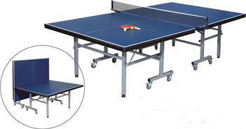 兵乓球臺、兵乓球臺廠家、河北兵乓球臺、兵乓球臺價格