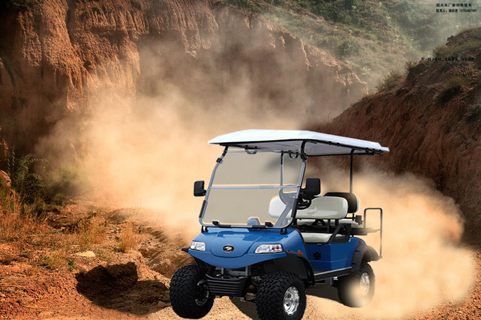 福州電動(dòng)旅游觀光車(chē)廠家直銷(xiāo)，價(jià)格合理，售后維修方便