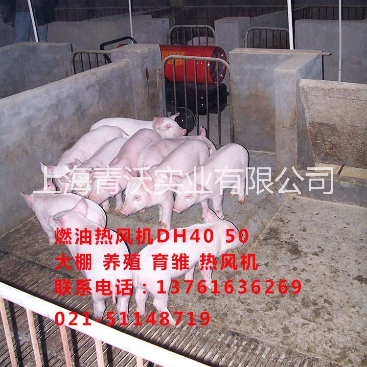 永備燃油熱風(fēng)機(jī)大棚養(yǎng)殖暖風(fēng)機(jī)DH50工地烘干設(shè)備