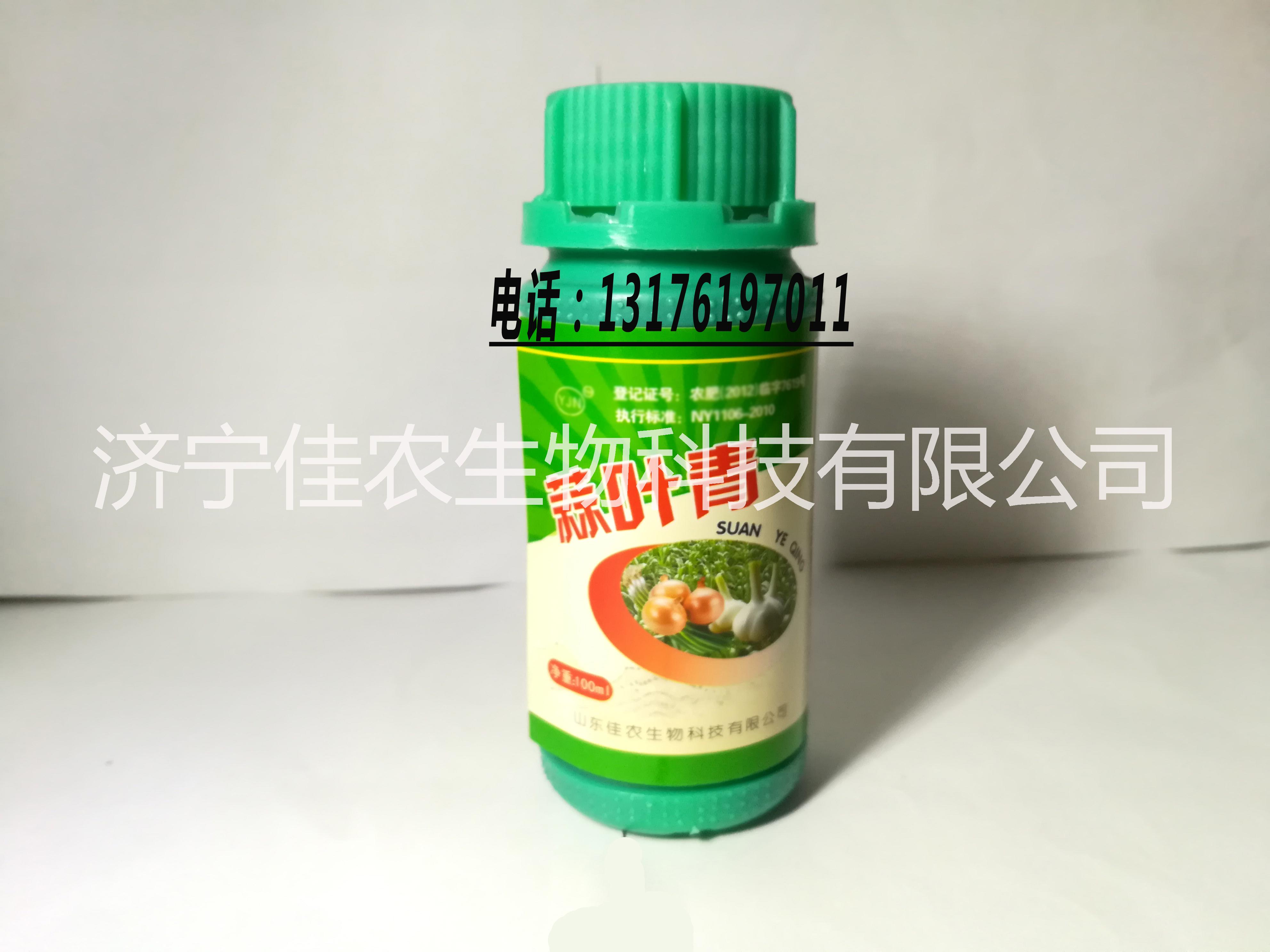 大大改善因缺素引起的蔥、姜、蒜苗弱、心葉發(fā)黃、表面皺縮等現(xiàn)象 供應(yīng)遼寧 蒜葉青葉面噴施肥批發(fā)