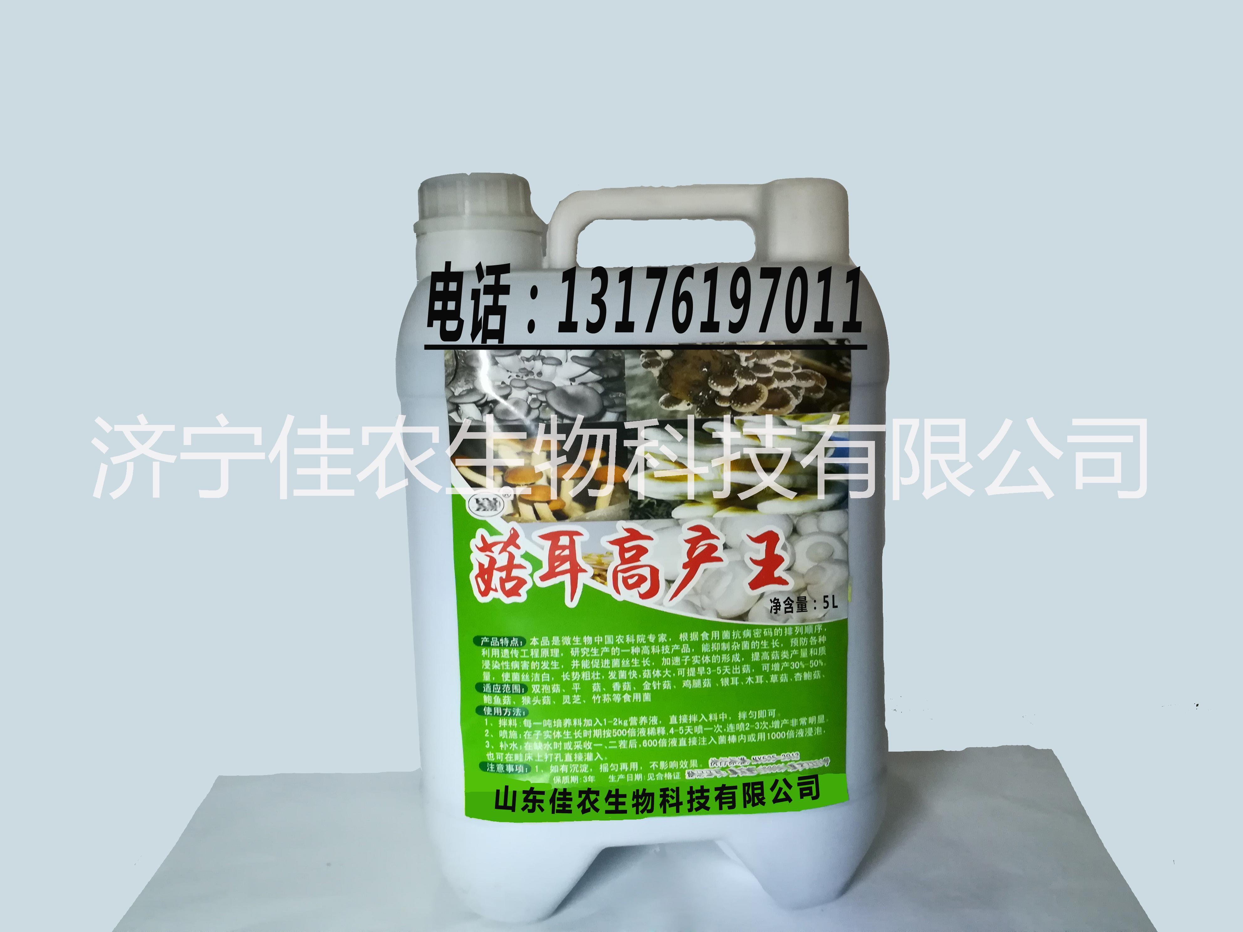 供應(yīng)批發(fā)【菇耳高產(chǎn)王】食用菌大棚批發(fā)銷售 發(fā)菌快，菇體大 供應(yīng)江西 菇耳高產(chǎn)王 食用菌大棚