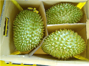 果然優(yōu)進(jìn)口水批發(fā)商 越南干堯榴蓮