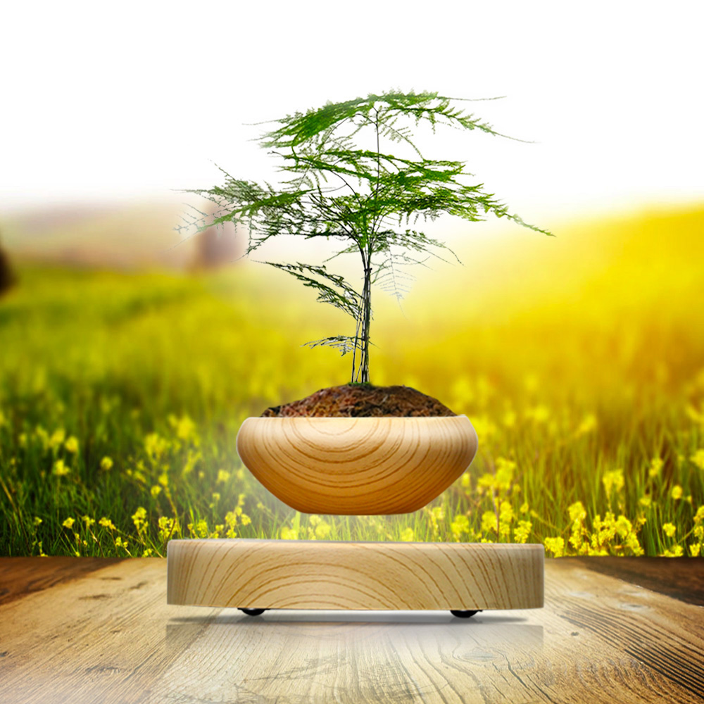 創(chuàng)意新奇植物禮品 創(chuàng)意空中磁懸浮小木紋盆栽科技家居擺件 新奇植物漂浮花盆