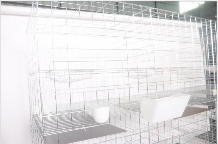 白云直銷鴿籠，雞籠，兔籠養(yǎng)殖設(shè)備 全國優(yōu)質(zhì)養(yǎng)殖設(shè)備配件 白云大量三層十二對鴿籠