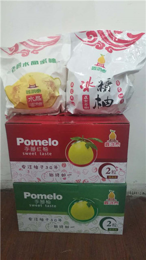 柚子 沙田柚 老樹蜜柚