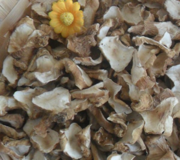 供應(yīng)商供應(yīng)菊芋干片/菊芋干片價格/菊芋干片報價