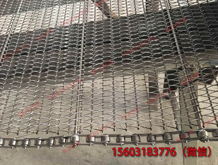 廠家直銷 清洗* 304不銹鋼輸送帶
