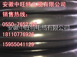 變頻電纜ZR-BPVVP2