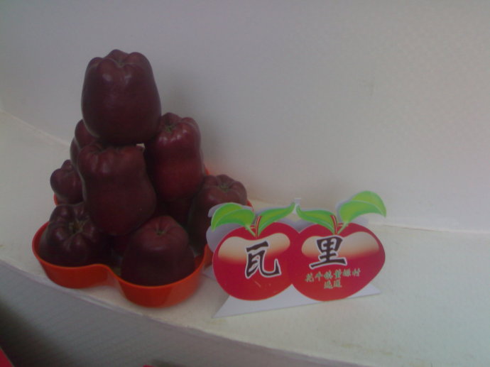 天水花牛蘋果苗花牛蘋果價格 哪里有*花牛蘋果樹苗