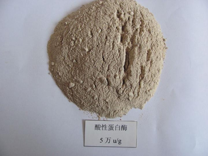 供應(yīng)酸性蛋白酶