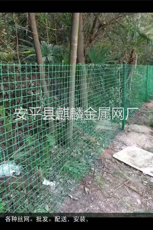 浸塑荷蘭網(wǎng)廠家直接供應(yīng)