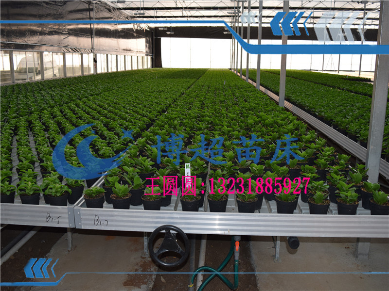 新型設(shè)計全自動苗床廠家-潮汐苗床