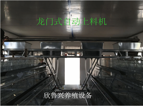養(yǎng)殖喂料機養(yǎng)雞自動化飼喂設(shè)備龍門式上料機 自動上料機