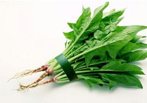 深圳佳惠鮮蔬菜水果批發(fā)配送 無(wú)公害蔬菜批發(fā) 農(nóng)產(chǎn)品糧油配送